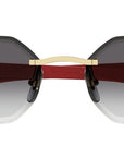 Cartier CT0439S 003