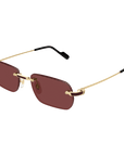 Cartier CT0498S 002
