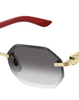Cartier CT0439S 003