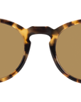 Moscot Miltzen Classic Havana - Ottica Pietroni.it