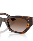 Ray-Ban 4430 135913