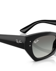 Ray-Ban 4430 667711