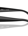 Ray-Ban 4430 667711