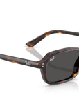 Ray-Ban 4455 135987