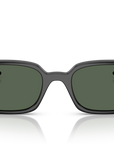 Ray-Ban 4455 667771