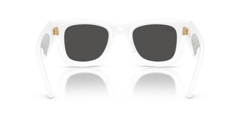 Ray-Ban 4940 671/87