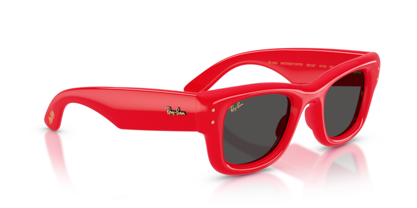 Ray-Ban 4940 683187 47mm