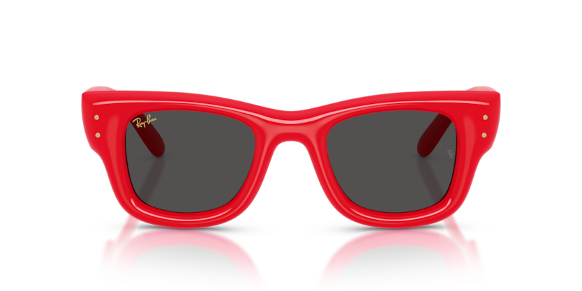 Ray-Ban 4940 683187 50mm