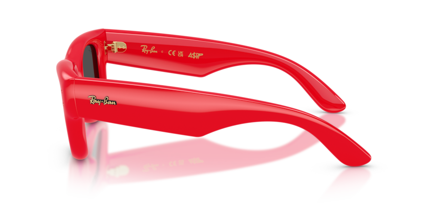 Ray-Ban 4940 683187 50mm