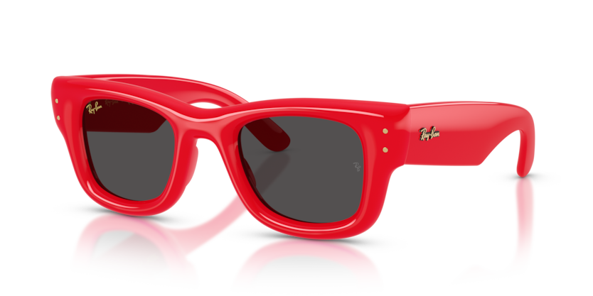 Ray-Ban 4940 683187 47mm