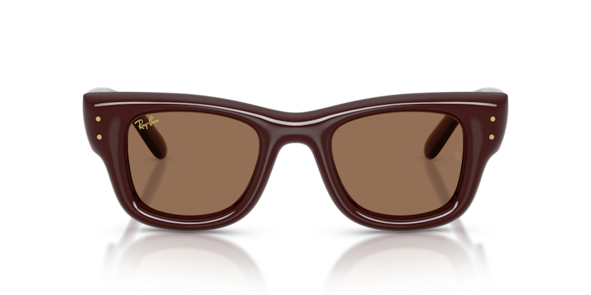Ray-Ban 4940 687773 50mm