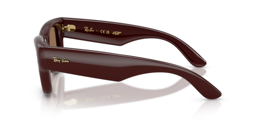 Ray-Ban 4940 687773 50mm
