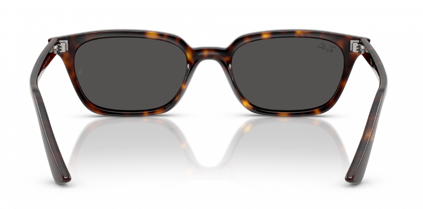 RAY-BAN | RB 4456 1359/80 Zaya