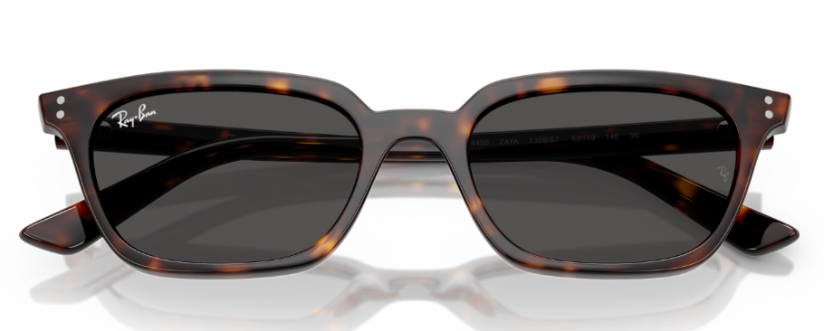 RAY-BAN | RB 4456 1359/80 Zaya