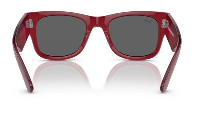 RAY-BAN | RB0840 6679/b1