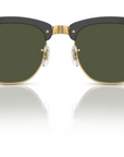 RAY-BAN | RB0316/s 901/31