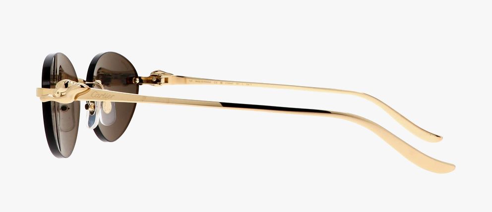 Cartier CT0504S 001