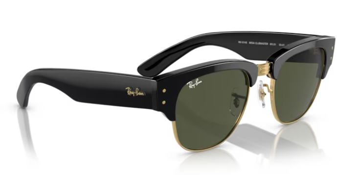 RAY-BAN | RB0316/s 901/31