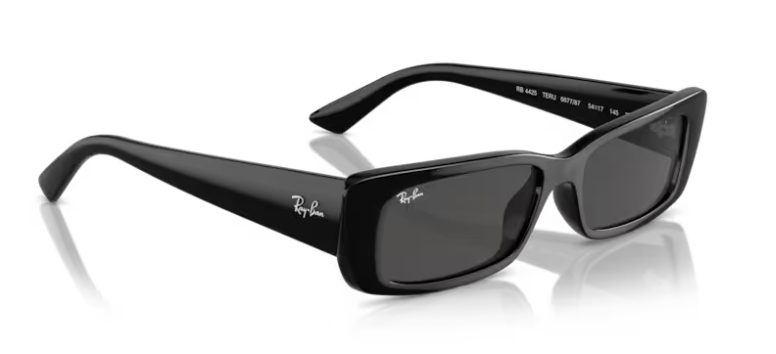 RAY-BAN | RB4425 6677/87