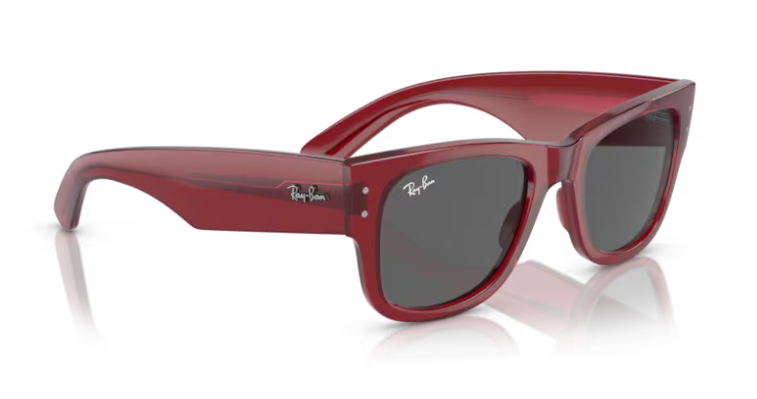 RAY-BAN | RB0840 6679/b1