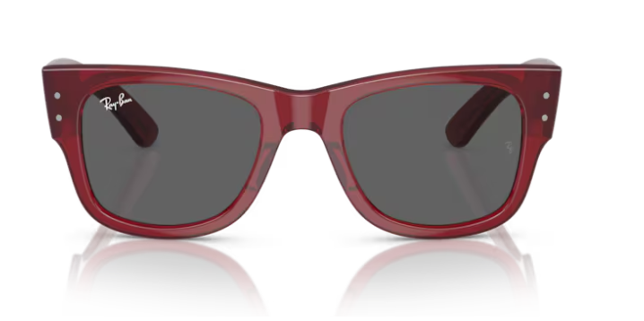 RAY-BAN | RB0840 6679/b1