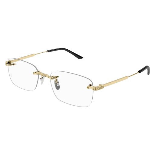 Cartier CT0349O 001
