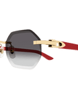 Cartier CT0439S 003