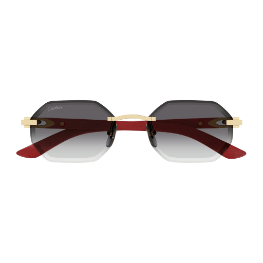 Cartier CT0439S 003
