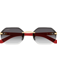 Cartier CT0439S 003