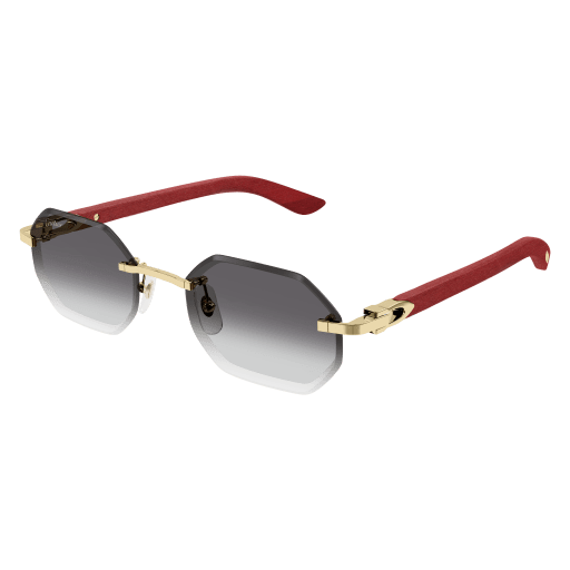 Cartier CT0439S 003