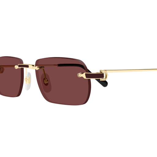 Cartier CT0498S 002