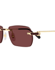 Cartier CT0498S 002