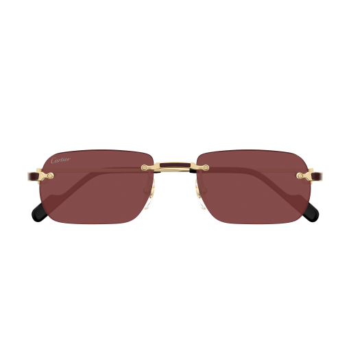 Cartier CT0498S 002