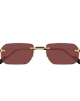 Cartier CT0498S 002
