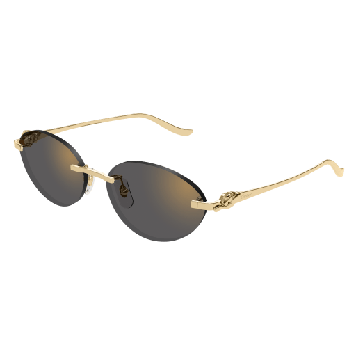 Cartier CT0504S 001