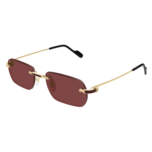 Cartier CT0498S 002