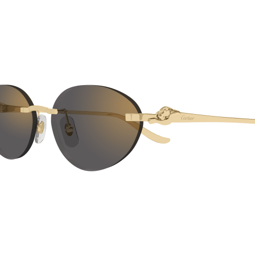 Cartier CT0504S 001