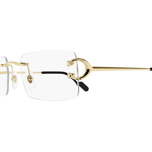 Cartier CT0488O 001
