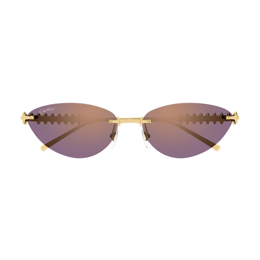 Cartier CT0543S 004