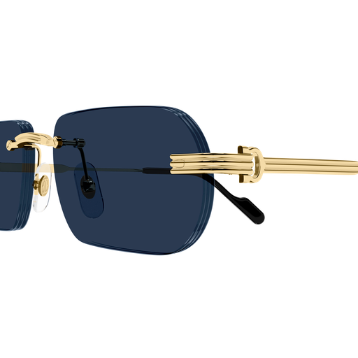 Cartier CT0577S 003