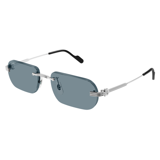 Cartier CT0577S 006