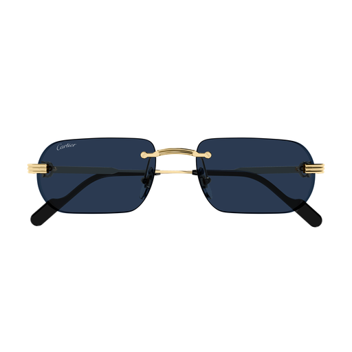 Cartier CT0577S 003