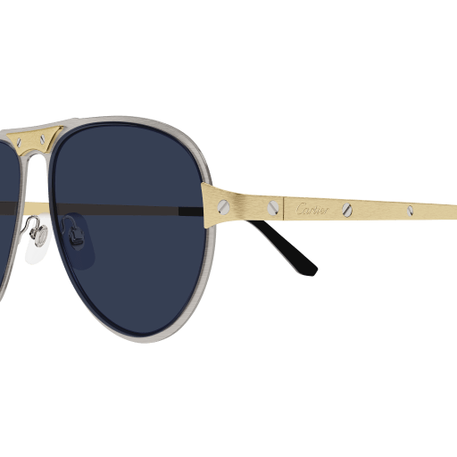 Cartier CT0533S 003