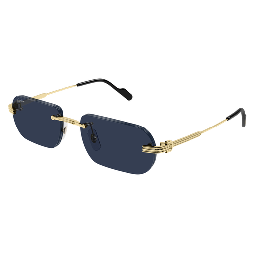 Cartier CT0577S 003