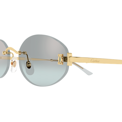 Cartier CT0592S 004