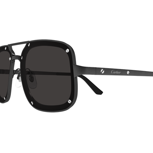Cartier CT0194S 004
