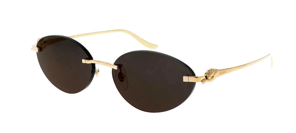 Cartier CT0504S 001