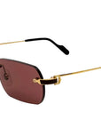 Cartier CT0498S 002