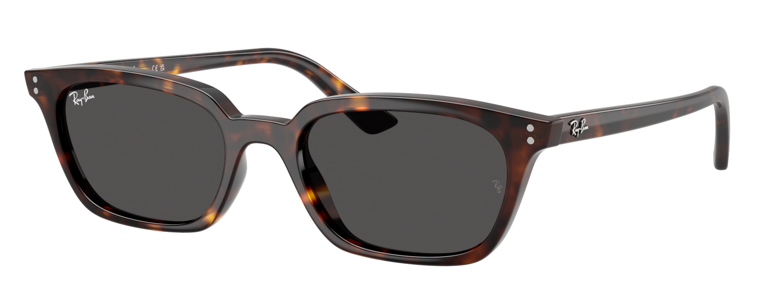 RAY-BAN | RB 4456 1359/80 Zaya