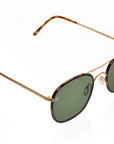 8000 8M2P GOLD + Classic Havana